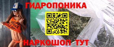 spice Обь