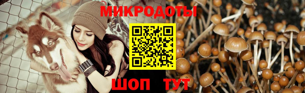 Псилоцибиновые грибы ЛСД Сатка